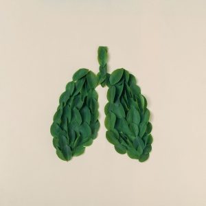 Art representing lungs with leaf