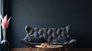 intérieur noir