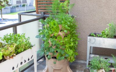 Comment créer un jardin vertical en 7 étapes faciles