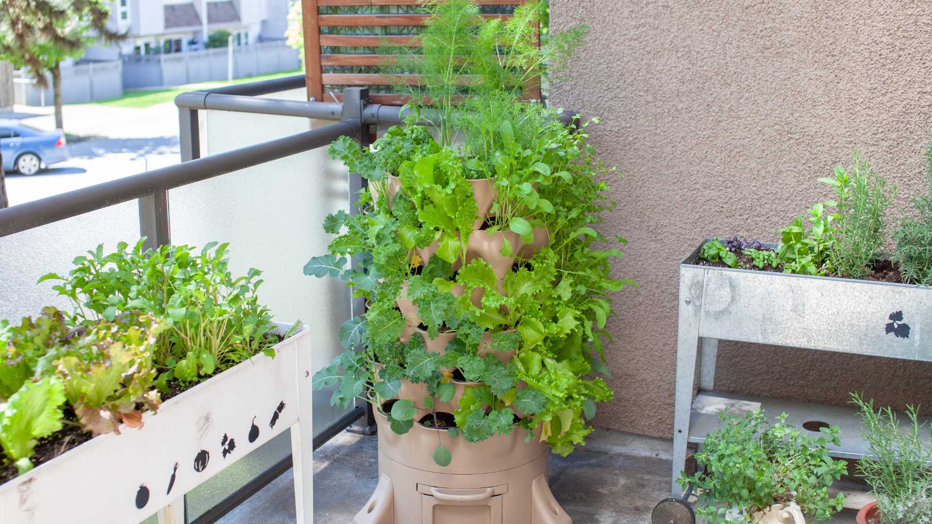 jardin verticale