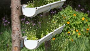 jardin verticale