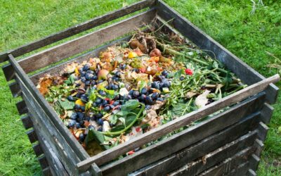 Comment créer un composteur maison en une après-midi