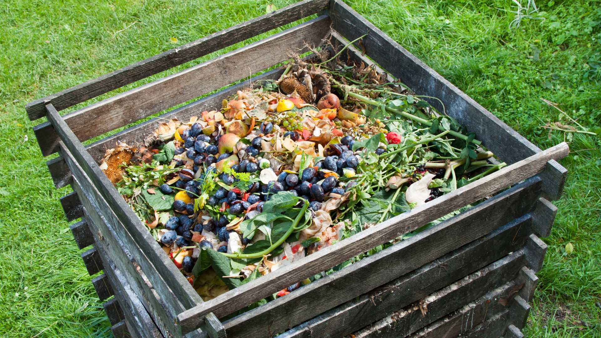 compost maison
