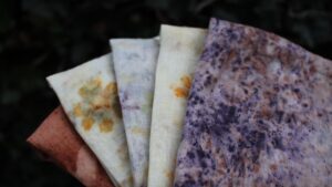 impressions botaniques