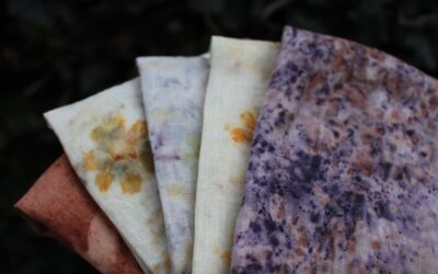 Réaliser des impressions botaniques avec la technique du martelage